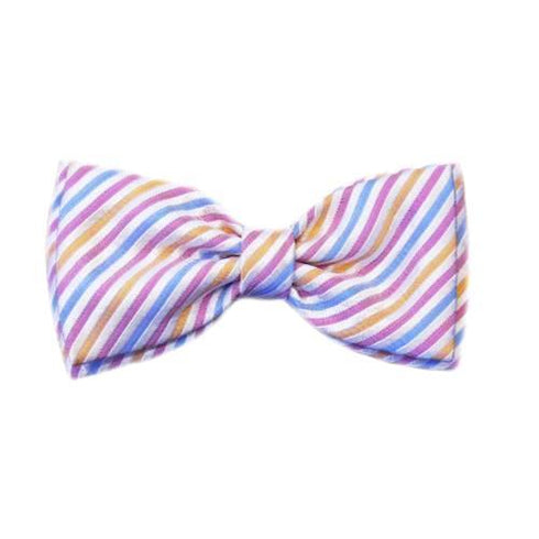 Morgan Dog Bow Tie Slider