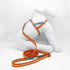 Multi Nubuck Celestial Dog Leash