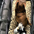 Mystere Shopper Wheeled Dog Carrier Deluxe
