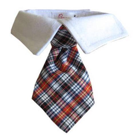 Nicholas Dog Shirt Collar