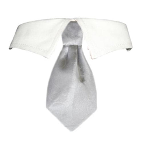 Noah Dog Shirt Collar