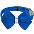 Nouveau Bow Dog Collar Royal Blue