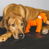 Orange And Faustina Dog Toy