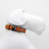 Orange Desert Dog Collar