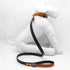 Orange Desert Dog Leash
