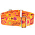 Orange Paisley EarthStyle Dog Collar