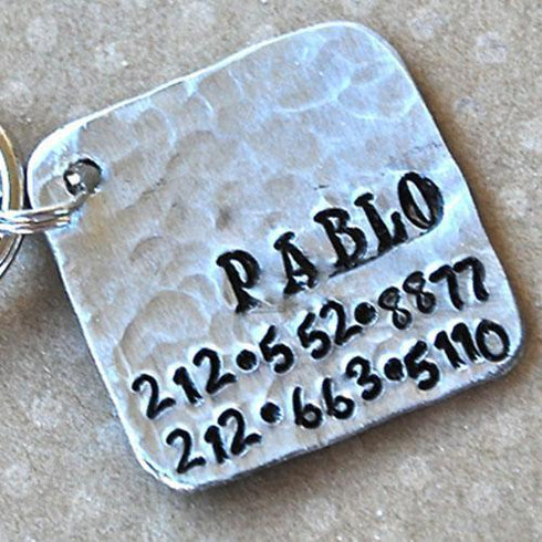 Pablo Square Dog ID Tag