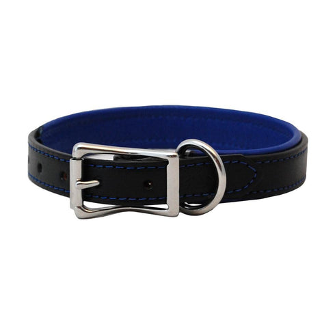 Padded Leather Dog Collar Black/Blue
