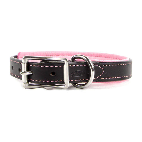 Padded Leather Dog Collar Black/Pink
