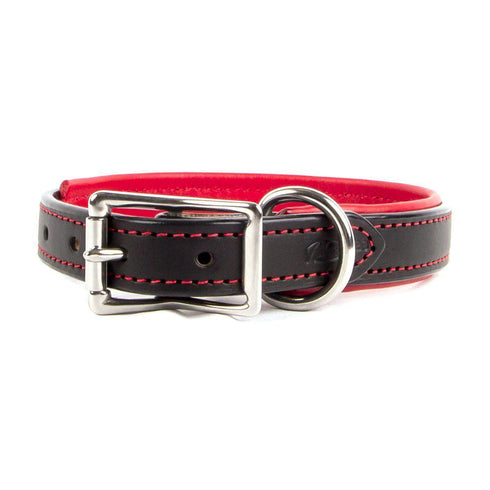 Padded Leather Dog Collar Black/Red