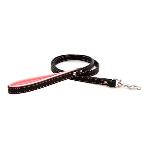 Padded Leather Dog Leash Black/Pink