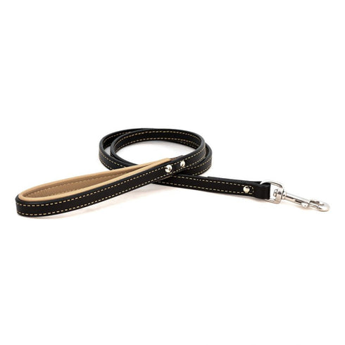 Padded Leather Dog Leash Black/Tan