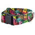 Paper Flags EarthStyle Dog Collar