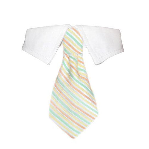 Parker Dog Shirt Collar