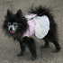 Pastel Floral Lace Dog Sundress