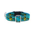 Paw Yang Teal Essential 1" Dog Collar