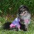 Peace And Love Tie Dyed Fishnet Dog Dress