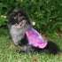 Peace And Love Tie Dyed Fishnet Dog Dress