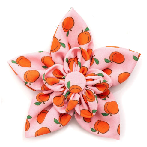 Peachy Keen Dog Collar Flower