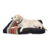 Pendleton Napper Dog Bed Acadia