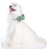 Perlee Green Dog Collar