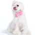 Perlee Pink Dog Collar