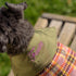 Personalized Bespoke Dog Coat/Raincoat Glam Sett
