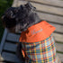 Personalized Bespoke Dog Coat/Raincoat Trend Sett