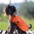 Personalized Bespoke Dog Coat/Raincoat Trend Sett