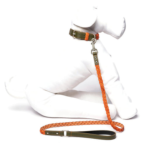 Personalized Braided Dog Leash Green/Orange