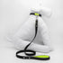 Personalized Scale & Fluo Dog Leash
