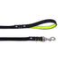 Personalized Scale & Fluo Dog Leash