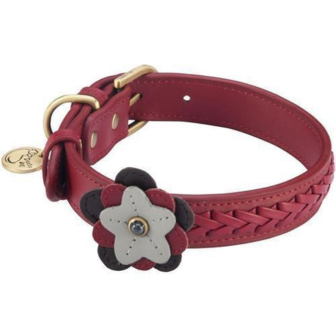 Petal Wild Rose Dog Collar