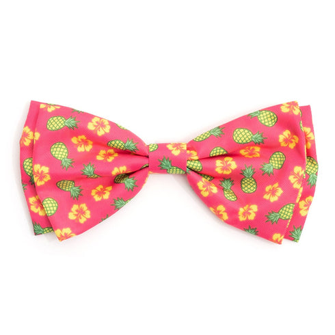 Pineapples Dog Bow Tie