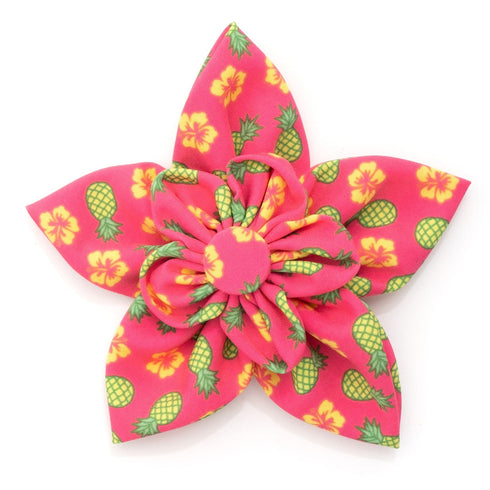 Pineapples Dog Collar Flower