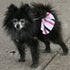 Pink And Black Striped Dog Sundress