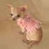 Pink Butterfly Angel Dog Harness Vest