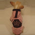 Pink Royalty Dog Hoodie