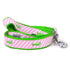 Pink Stripe Alligator Dog Collar