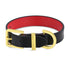 Plain Jane Gold Confession Dog Collar