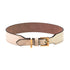 Plain Leather Dog Collar Antique