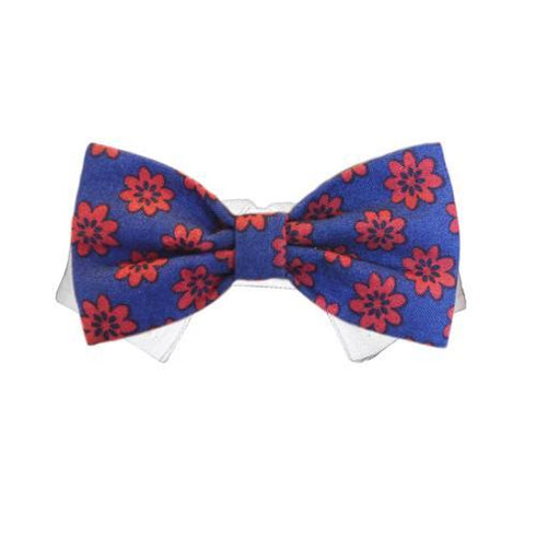Preston Dog Bow Tie Collar