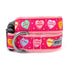 Puppy Love Dog Collar