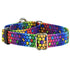ROY G BIV EarthStyle Dog Collar