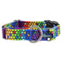 ROY G BIV EarthStyle Dog Collar