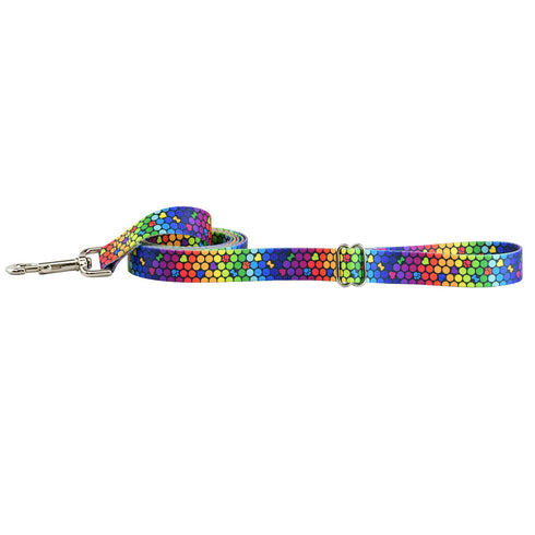 ROY G BIV EarthStyle Dog Leash