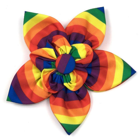 Rainbow Dog Collar Flower
