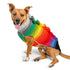Rainbow Mohawk Dog Sweater