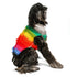Rainbow Mohawk Dog Sweater