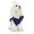 Red Hearts Girls Thin Dog Shirt